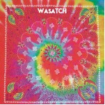 100% Cotton Imported Tie-Dye Bandanna